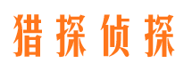 临城市场调查